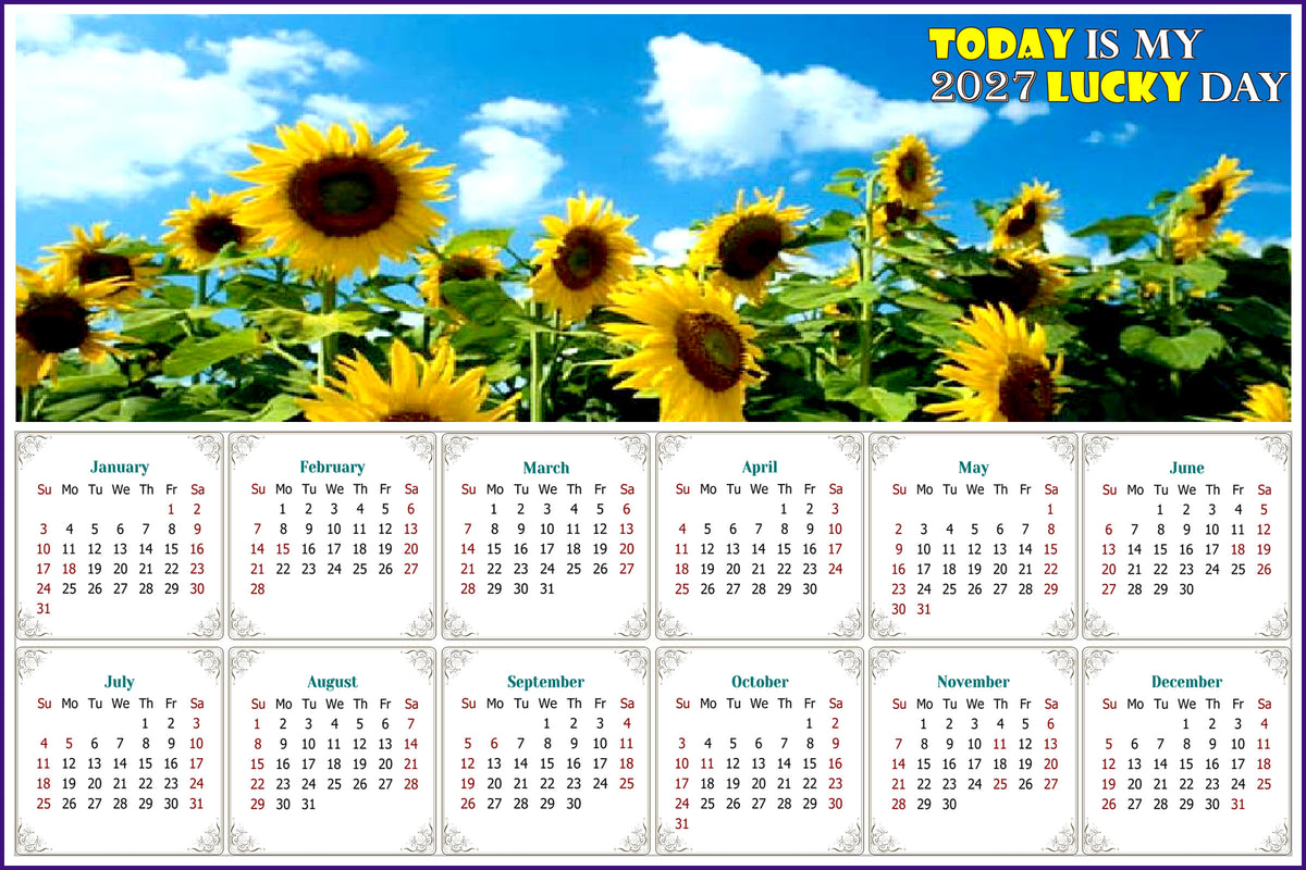2027 Peel & Stick Calendar - Today is my Lucky Day - Removable, Repositionable - 034 (9"x 6")