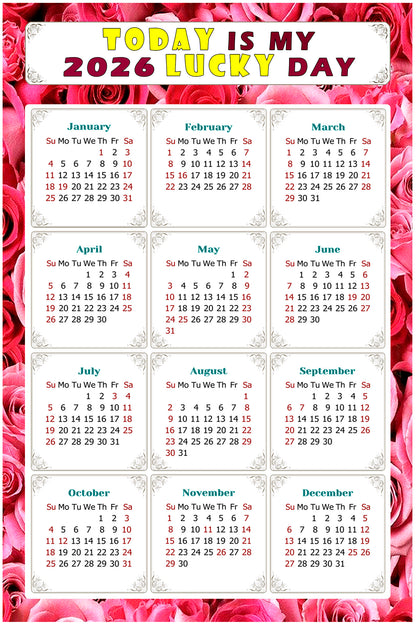 2026 Peel & Stick Calendar - Today is my Lucky Day Removable - 028