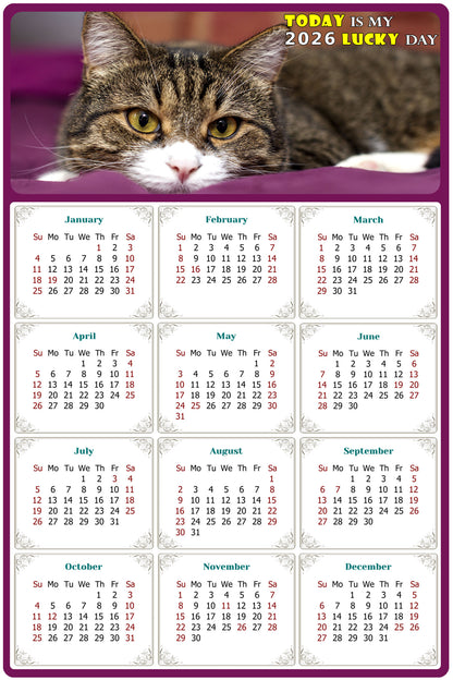 2026 Magnetic Calendar - Today is My Lucky Day (Fade, Tear, and Water Resistant)- Cat Themed 022