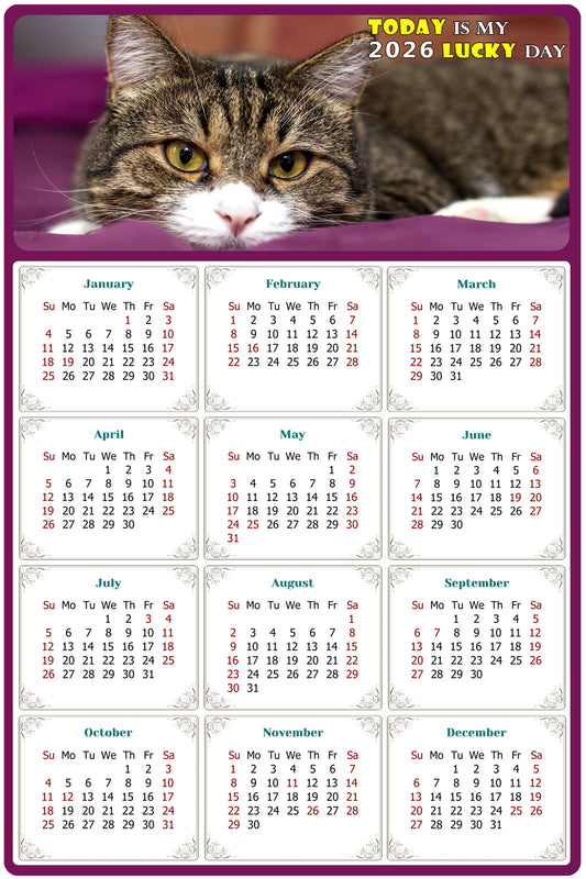 2026 Magnetic Calendar - Today is My Lucky Day (Fade, Tear, and Water Resistant)- Cat Themed 022