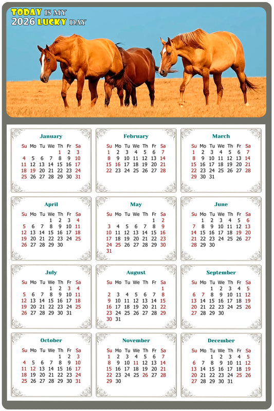 2026 Magnetic Calendar - Calendar Magnets - Today is my Lucky Day - (Fade, Tear, and Water Resistant) - Horses Themed 017