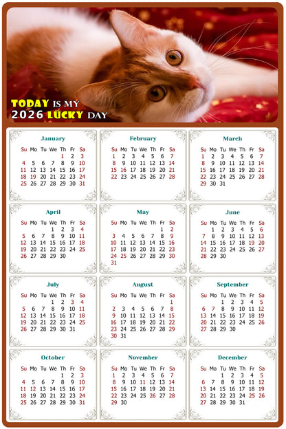 2026 Peel & Stick Calendar - Today is my Lucky Day Removable - Cat 07 (9"x 6")