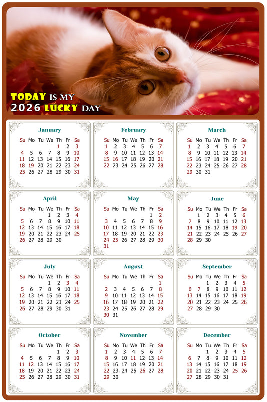 2026 Peel & Stick Calendar - Today is my Lucky Day Removable - Cat 07 (9"x 6")