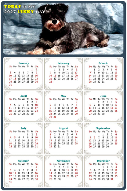 2027 Magnetic Calendar - Today is My Lucky Day (Fade, Tear, and Water Resistant)- Dogs Themed 010