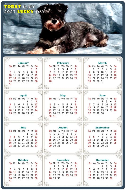 2027 Magnetic Calendar - Today is My Lucky Day (Fade, Tear, and Water Resistant)- Dogs Themed 010