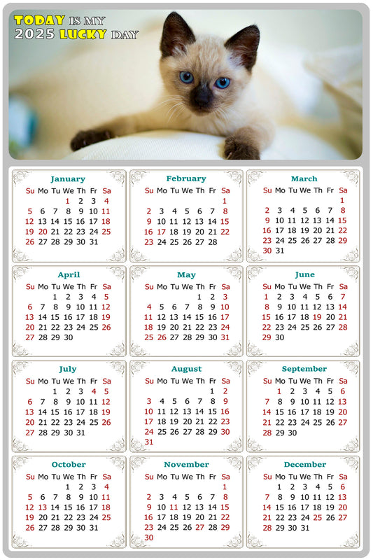 2025 Magnetic Calendar - Today is My Lucky Day (Fade, Tear, and Water Resistant)- Cat Themed 013