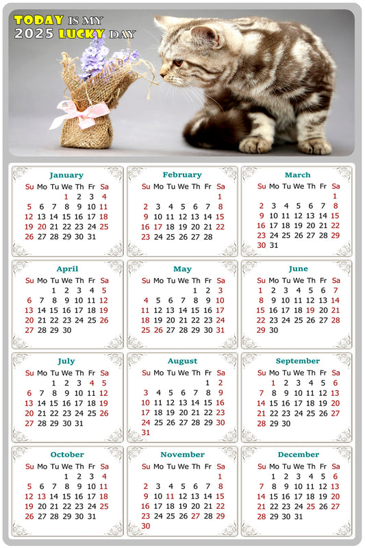 2025 Magnetic Calendar - Today is My Lucky Day (Fade, Tear, and Water Resistant)- Cat Themed 025