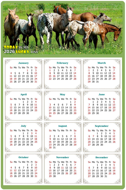 2026 Magnetic Calendar - Calendar Magnets - Today is my Lucky Day - (Fade, Tear, and Water Resistant) - Horses Themed 02