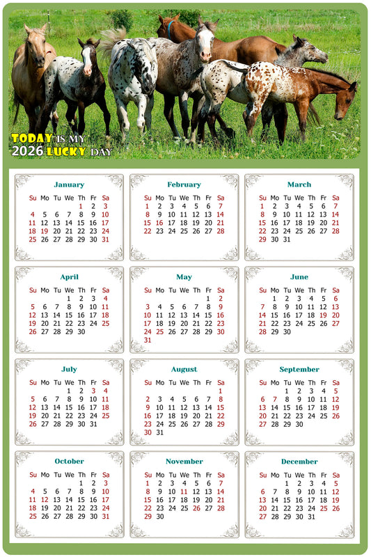2026 Magnetic Calendar - Calendar Magnets - Today is my Lucky Day - (Fade, Tear, and Water Resistant) - Horses Themed 02