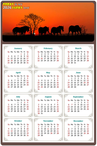 2026 Magnetic Calendar - Calendar Magnets - Today is my Lucky Day - (Fade, Tear, and Water Resistant) - Horses Themed 011