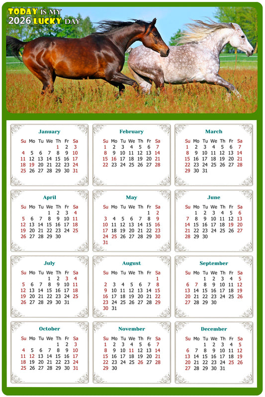 2026 Magnetic Calendar - Calendar Magnets - Today is my Lucky Day - (Fade, Tear, and Water Resistant) - Horses Themed 03