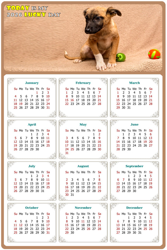 2026 Magnetic Calendar - Today is My Lucky Day (Fade, Tear, and Water Resistant)- Dogs Themed 021