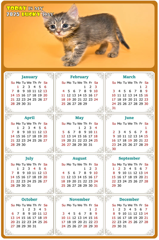 2025 Magnetic Calendar - Today is My Lucky Day (Fade, Tear, and Water Resistant)- Cat Themed 018
