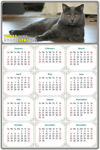 2026 Peel & Stick Calendar - Today is my Lucky Day Removable - Cat 014 (12"x 8")