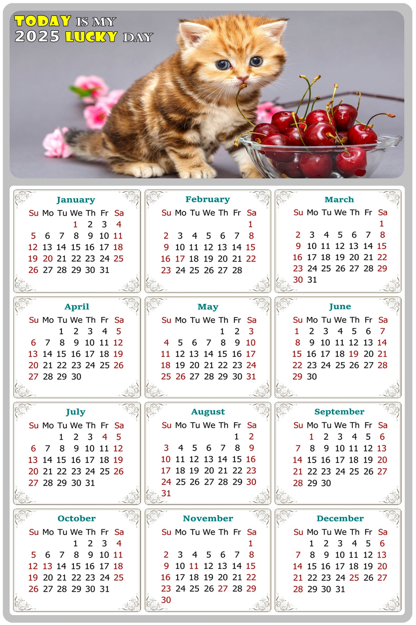 2025 Peel & Stick Calendar - Today is my Lucky Day Removable - Cat 016 (12"x 8")