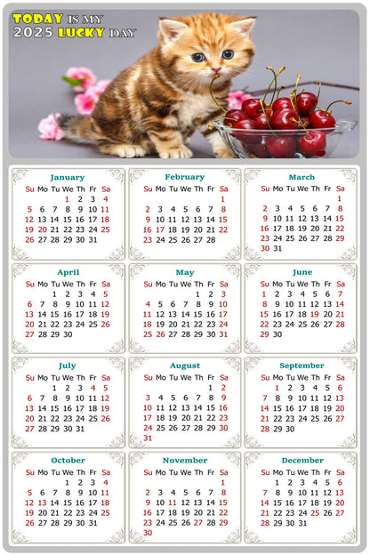 2025 Peel & Stick Calendar - Today is my Lucky Day Removable - Cat 016 (12"x 8")