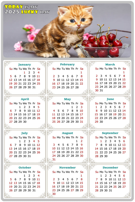 2025 Peel & Stick Calendar - Today is my Lucky Day Removable - Cat 016 (12"x 8")