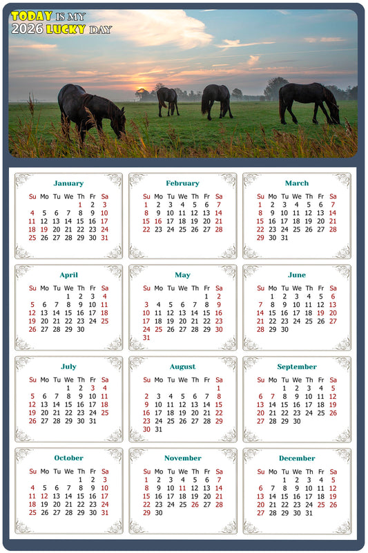 2026 Magnetic Calendar - Calendar Magnets - Today is my Lucky Day - (Fade, Tear, and Water Resistant) - Horses Themed 04