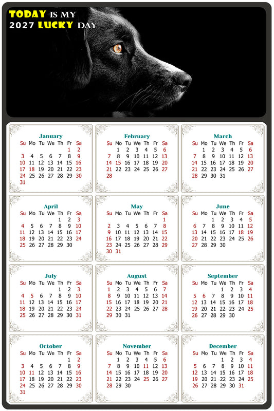 2027 Magnetic Calendar - Today is My Lucky Day (Fade, Tear, and Water Resistant)- Dogs Themed 05