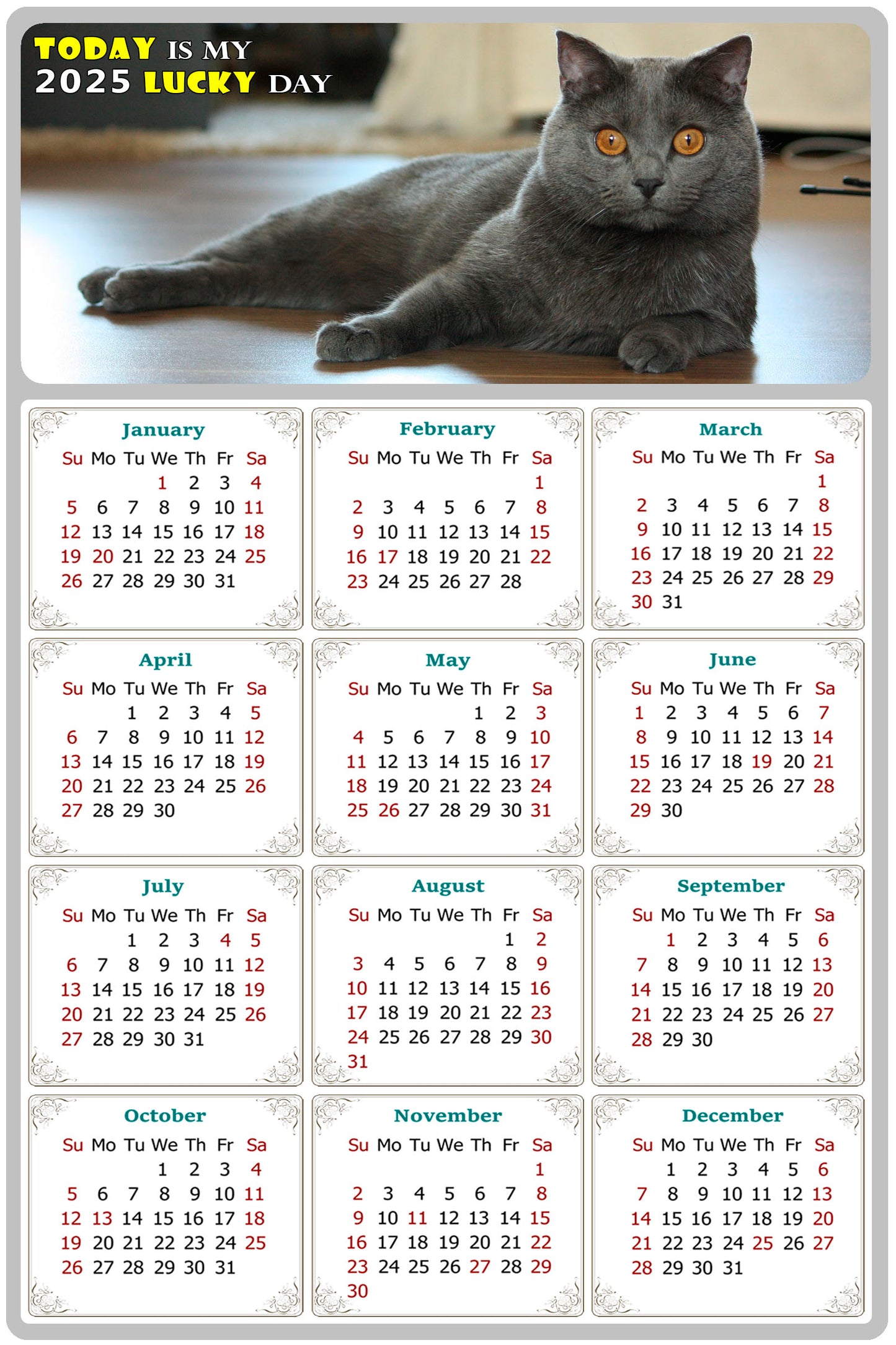 2025 Magnetic Calendar - Today is My Lucky Day (Fade, Tear, and Water Resistant)- Cat Themed 014