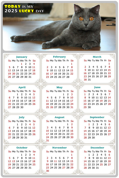 2025 Magnetic Calendar - Today is My Lucky Day (Fade, Tear, and Water Resistant)- Cat Themed 014