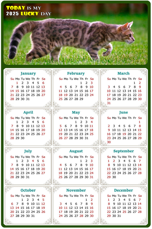 2025 Magnetic Calendar - Today is My Lucky Day (Fade, Tear, and Water Resistant)- Cat Themed 09