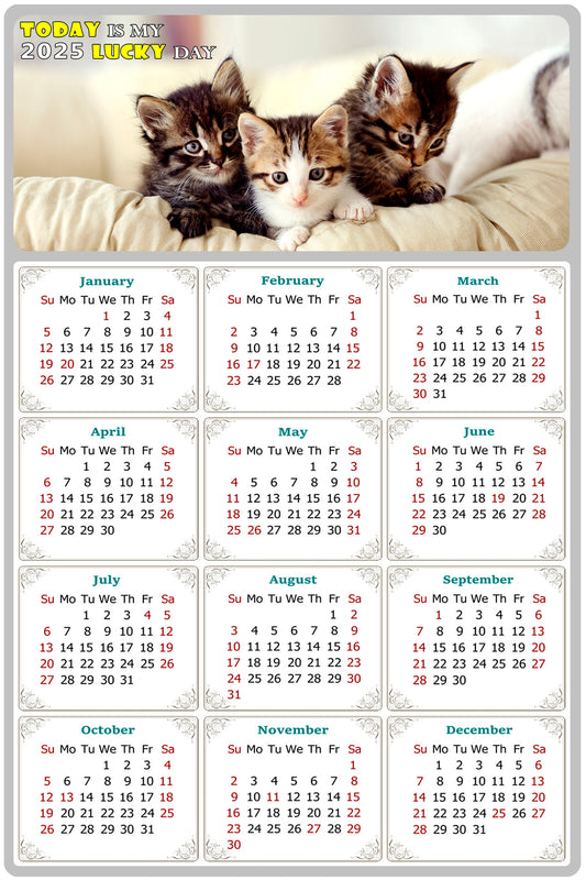 2025 Magnetic Calendar - Today is My Lucky Day (Fade, Tear, and Water Resistant)- Cat Themed 021