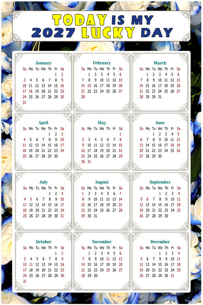 2027 Peel & Stick Calendar - Today is my Lucky Day Removable - 025