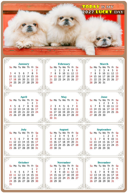 2027 Magnetic Calendar - Today is My Lucky Day (Fade, Tear, and Water Resistant)- Dogs Themed 022