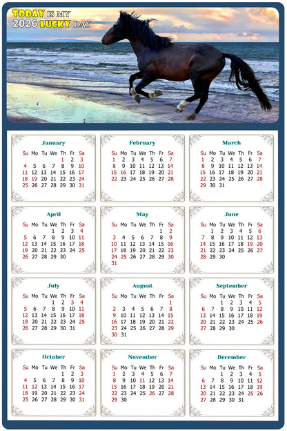 2026 Magnetic Calendar - Calendar Magnets - Today is my Lucky Day - (Fade, Tear, and Water Resistant) - Horses Themed 015