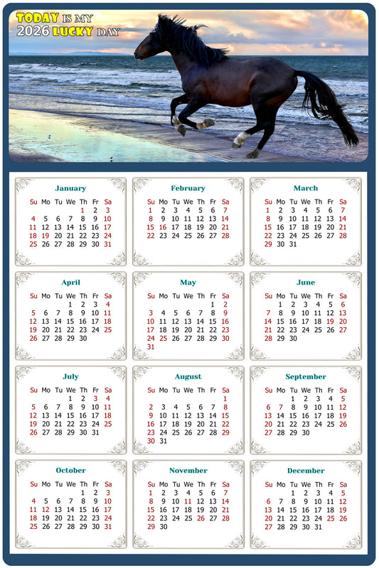 2026 Magnetic Calendar - Calendar Magnets - Today is my Lucky Day - (Fade, Tear, and Water Resistant) - Horses Themed 015