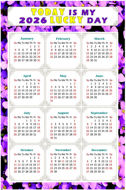 2026 Peel & Stick Calendar - Today is my Lucky Day Removable - 026
