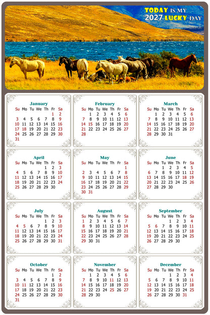 2027 Peel & Stick Calendar - Today is my Lucky Day Removable - Horses 012 (9"x 6")