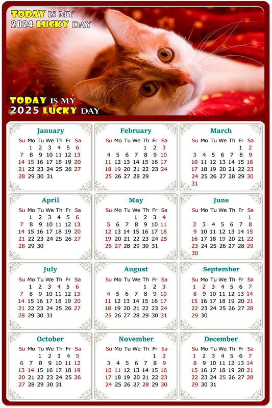 2025 Magnetic Calendar - Today is My Lucky Day (Fade, Tear, and Water Resistant)- Cat Themed 07