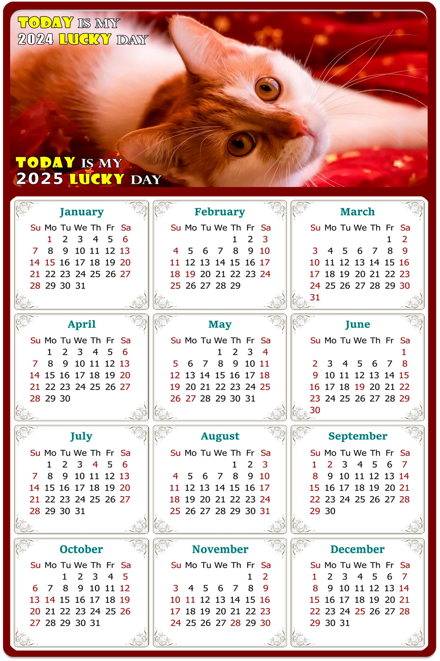 2025 Magnetic Calendar - Today is My Lucky Day (Fade, Tear, and Water Resistant)- Cat Themed 07