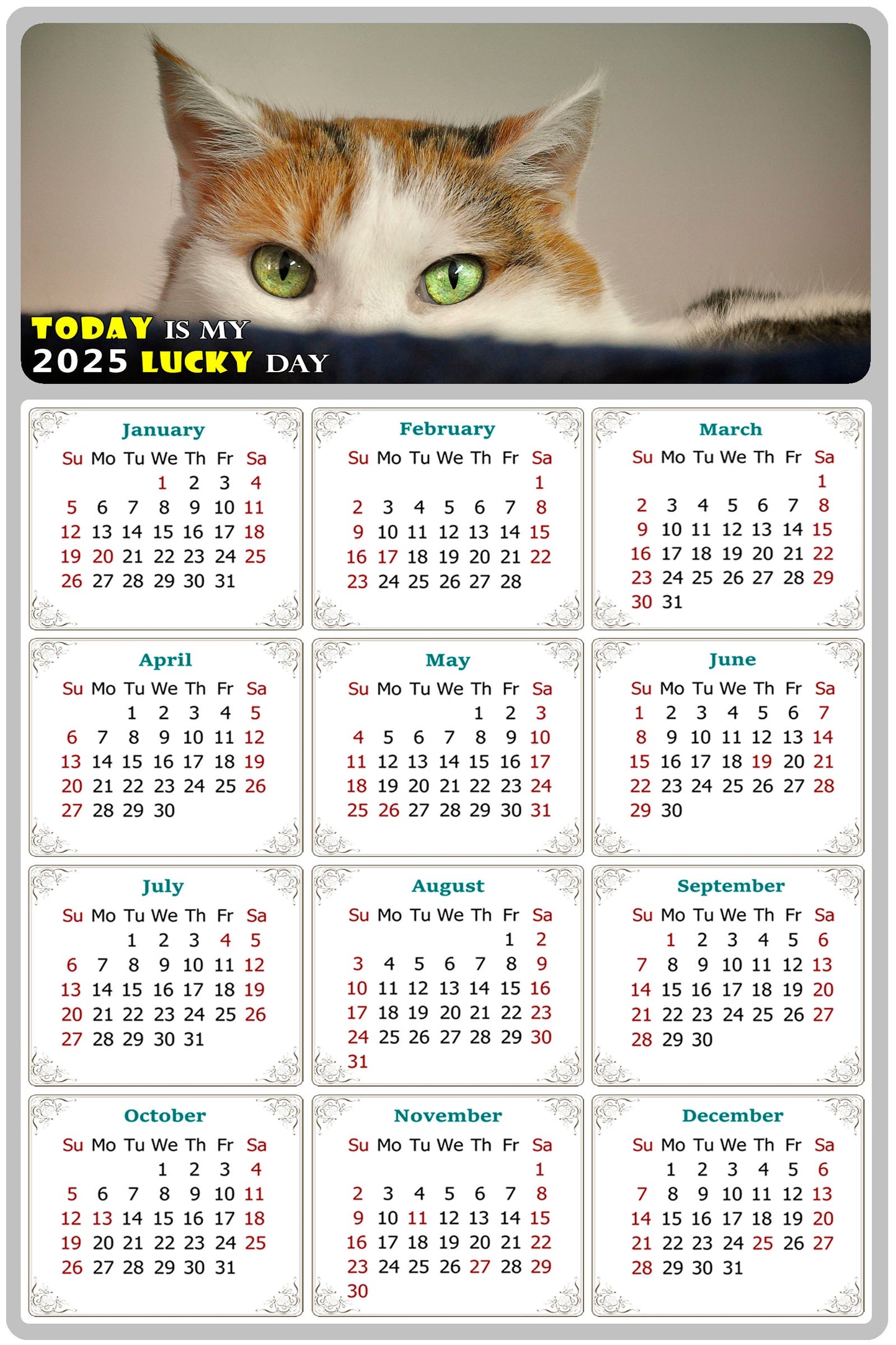 2025 Magnetic Calendar - Today is My Lucky Day (Fade, Tear, and Water Resistant)- Cat Themed 012