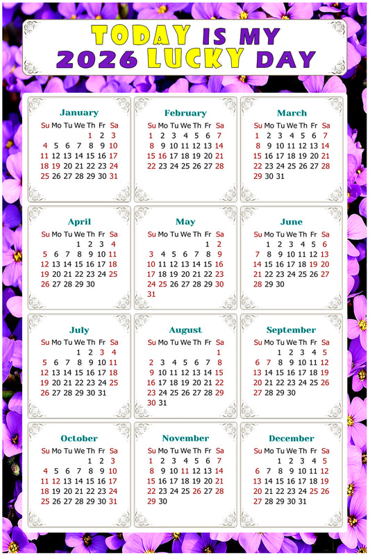 2026 Magnetic Calendar - Calendar Magnets - Today is my Lucky Day - (Fade, Tear, and Water Resistant) - Themed 026
