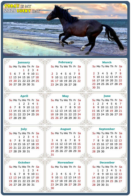 2025 Magnetic Calendar - Calendar Magnets - Today is my Lucky Day - (Fade, Tear, and Water Resistant) - Horses Themed 015