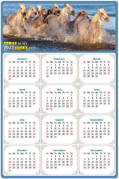 2027 Peel & Stick Calendar - Today is my Lucky Day Removable - Horses 08 (9"x 6")