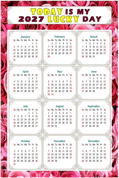2027 Peel & Stick Calendar - Today is my Lucky Day Removable - 028