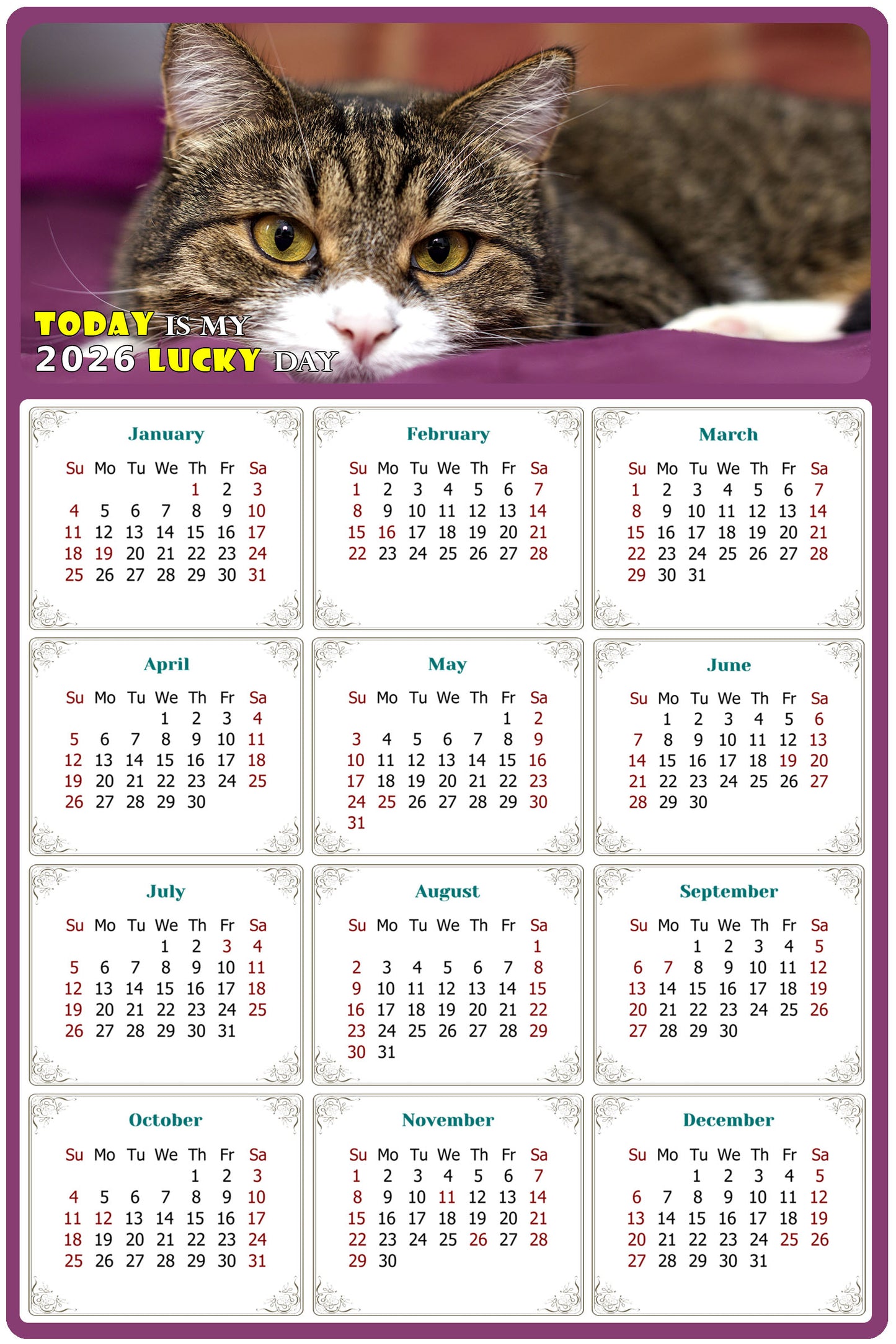 2026 Peel & Stick Calendar - Today is my Lucky Day Removable - Cat 022 (9"x 6")