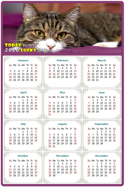 2026 Peel & Stick Calendar - Today is my Lucky Day Removable - Cat 022 (9"x 6")