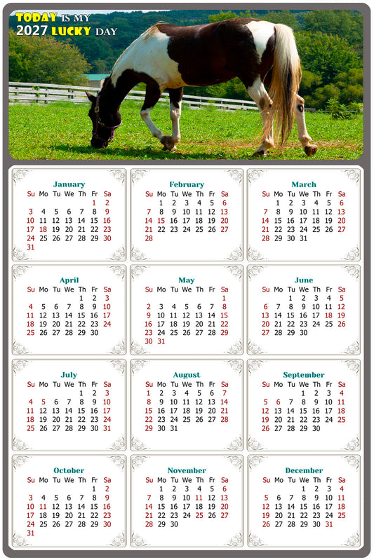 2027 Magnetic Calendar - Calendar Magnets - Today is my Lucky Day - (Fade, Tear, and Water Resistant) - Horses Themed 020