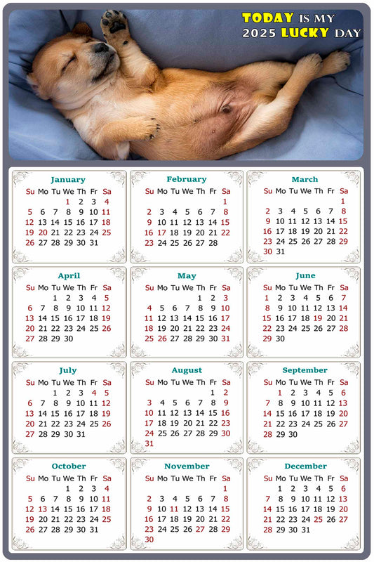 2025 Magnetic Calendar - Today is My Lucky Day (Fade, Tear, and Water Resistant)- Dogs Themed 013