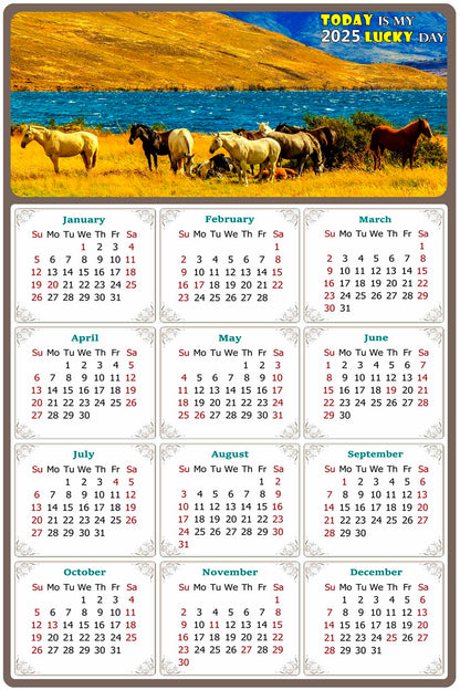 2025 Peel & Stick Calendar - Today is my Lucky Day Removable - Horses 012 (9"x 6")