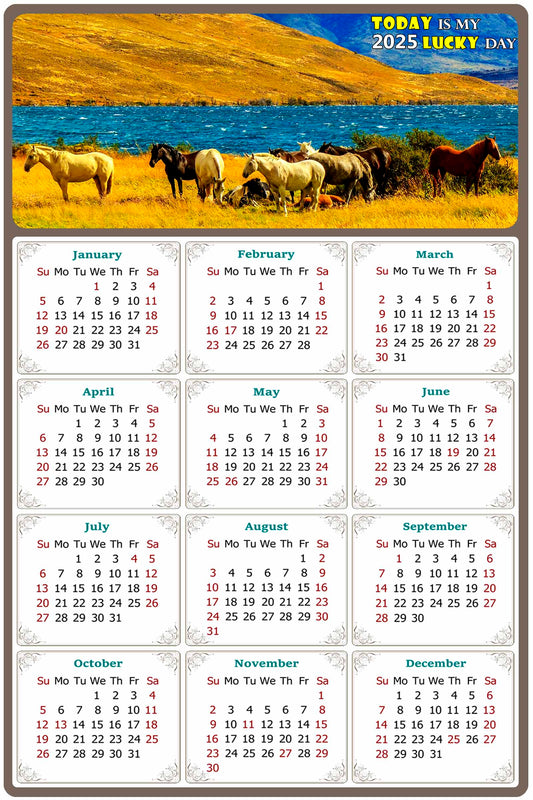 2025 Peel & Stick Calendar - Today is my Lucky Day Removable - Horses 012 (9"x 6")