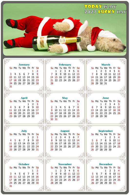 2027 Magnetic Calendar - Today is My Lucky Day (Fade, Tear, and Water Resistant)- Dogs Themed 014