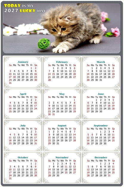 2027 Peel & Stick Calendar - Today is my Lucky Day Removable - Cat 017 (9"x 6")