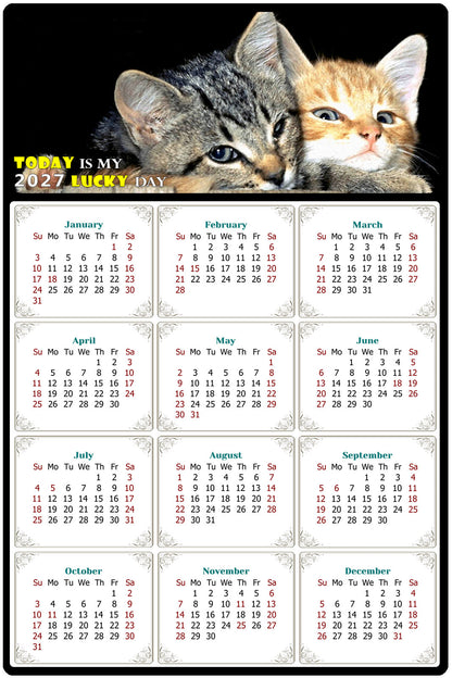 2027 Peel & Stick Calendar - Today is my Lucky Day Removable - Cat 010 (9"x 6")