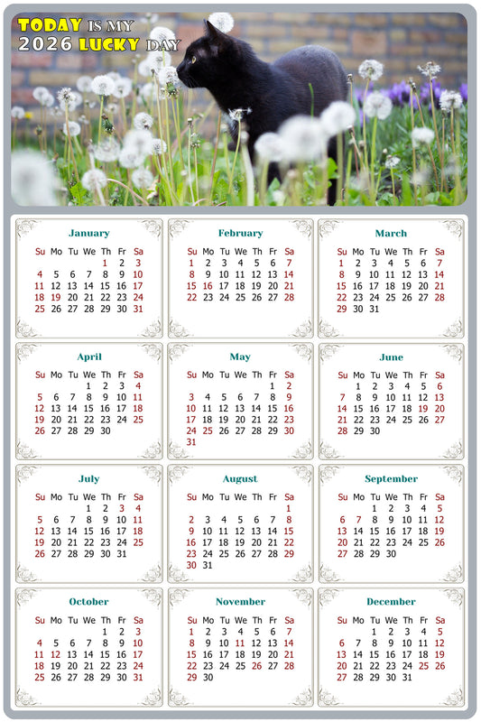 2026 Magnetic Calendar - Today is My Lucky Day (Fade, Tear, and Water Resistant)- Cat Themed 05